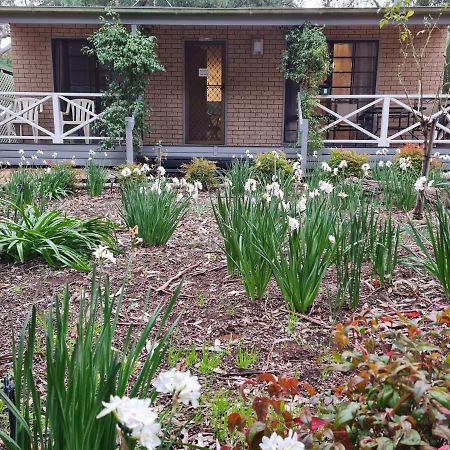 Barossa Country cabañas Lyndoch Exterior foto